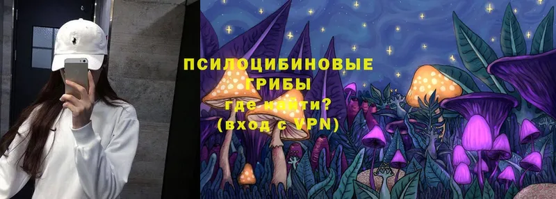 Галлюциногенные грибы Magic Shrooms  хочу наркоту  кракен сайт  Бокситогорск 